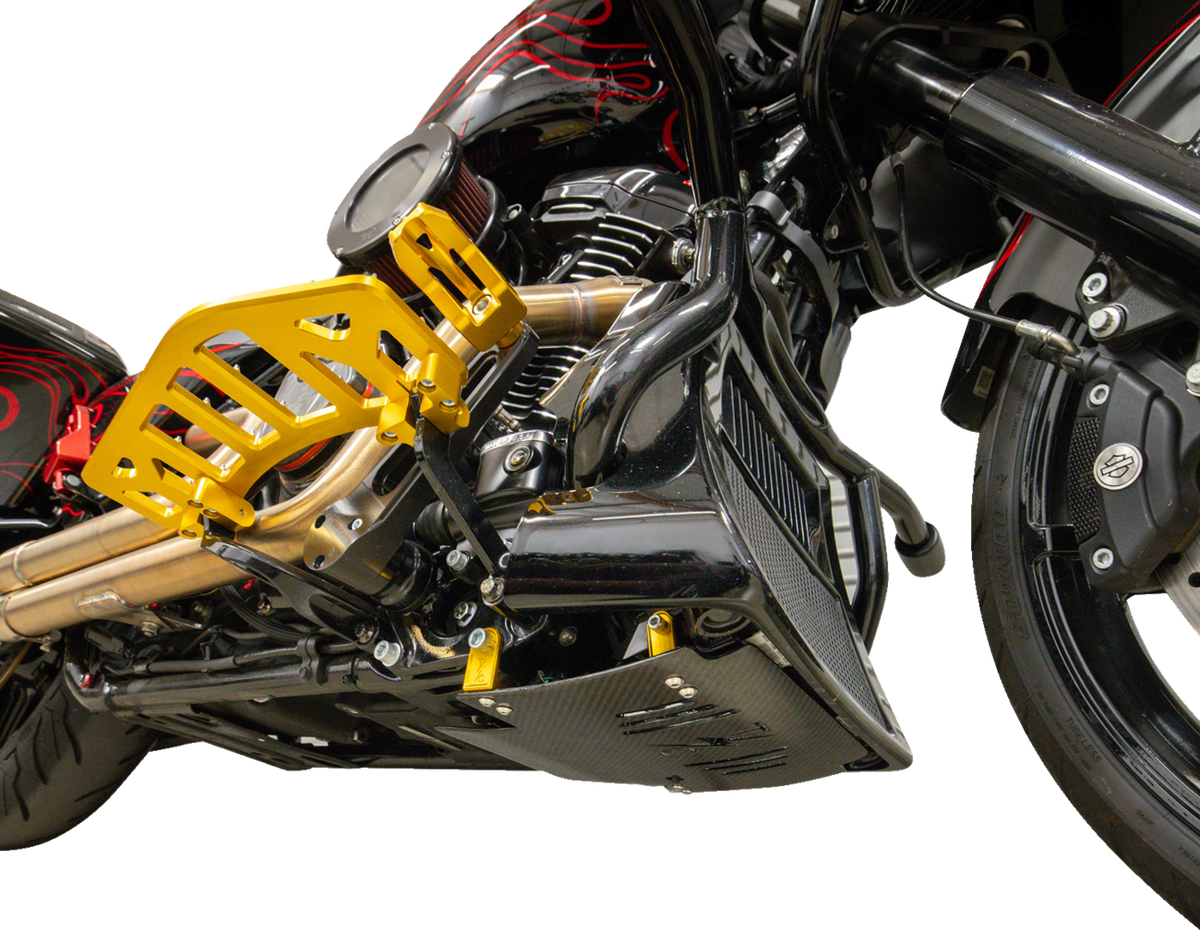 Thrashin Supply Co. Carbon Fiber Skid Plate — 0506-2531