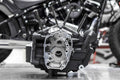 M8 Softail Crankcase by S&S Cycle
