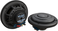 Wild Boar Audio Rear Speakers — 4405-0496