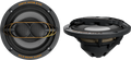 Wild Boar Audio Speakers — 4405-1050