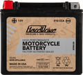 HARDDRIVE YTX20H 310 CCA AGM motorcycle battery