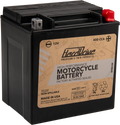 HARDDRIVE YIX30L 400 CCA AGM motorcycle battery