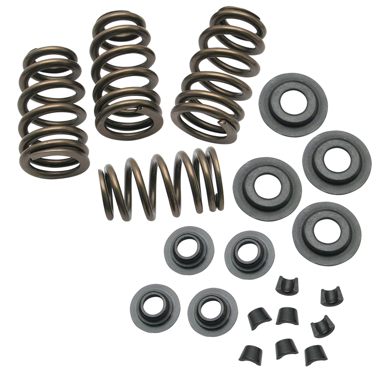 0.650" Sidewinder® Valve Spring Kit by S&S Cycle