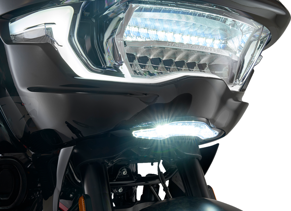 GOAT-E Fairing Light