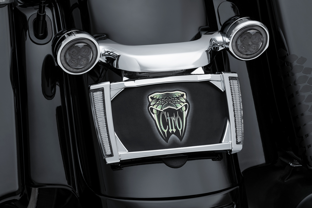 LED Lighted License Plate Frame