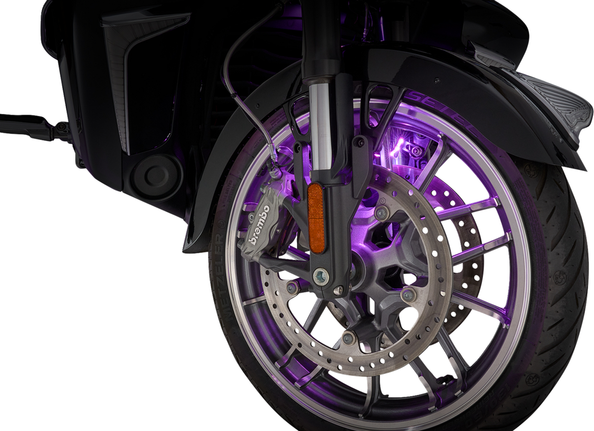 Fork Lights