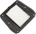 Drag Specialties OEM Replacement Air Filter for Indian