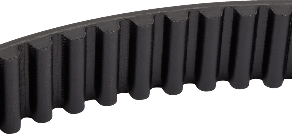 Rear Drive Belt