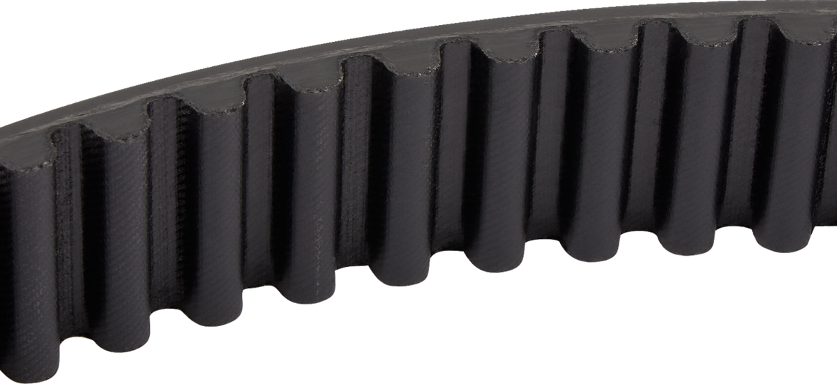 Rear Drive Belt