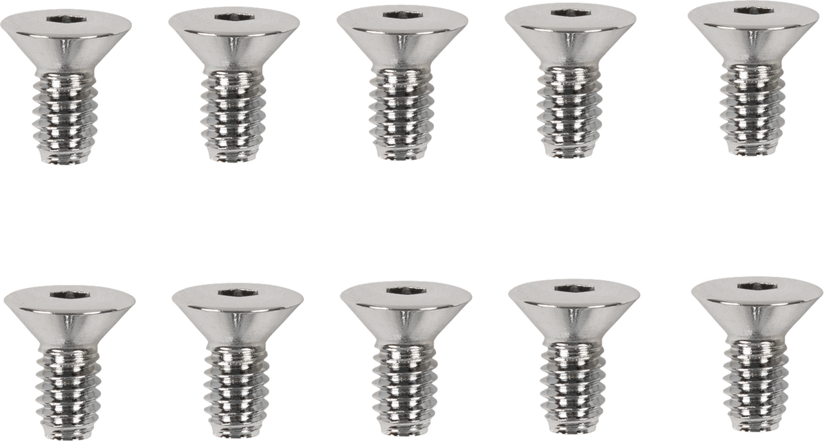 Derby/Inspection Covers Only Screw Set