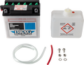 Drag Specialties Conventional Battery Kit