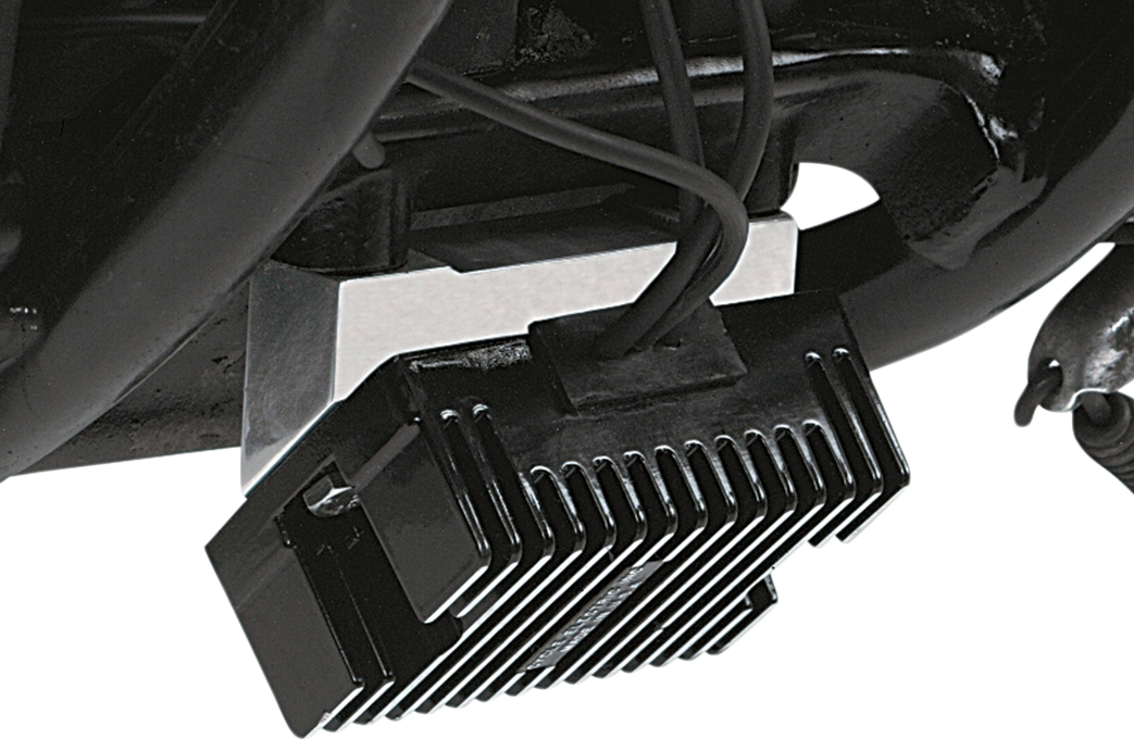 Custom Regulator Mount