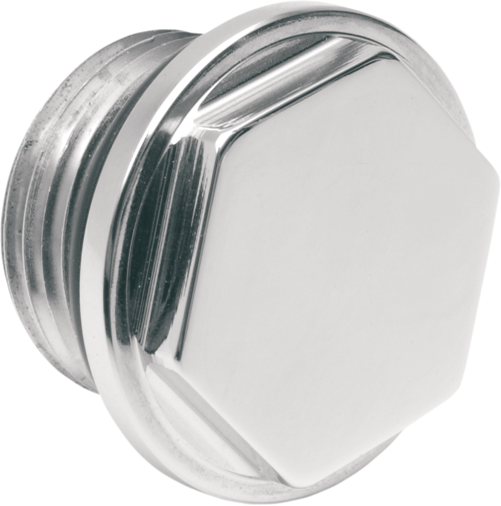 Fuel Tank Outlet Plug