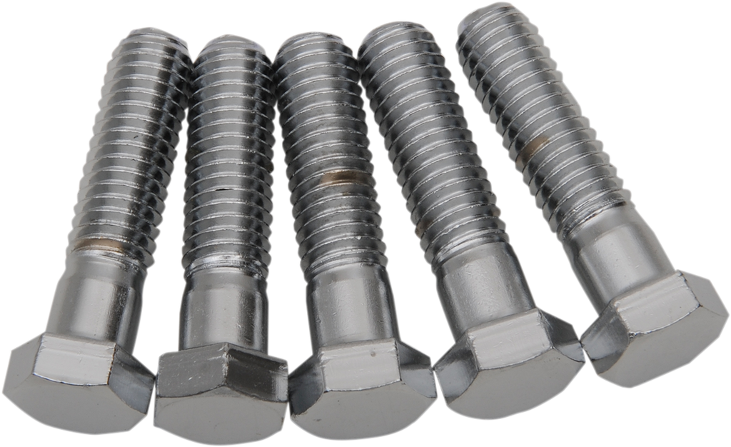 Replacement Hex-Head Bolts