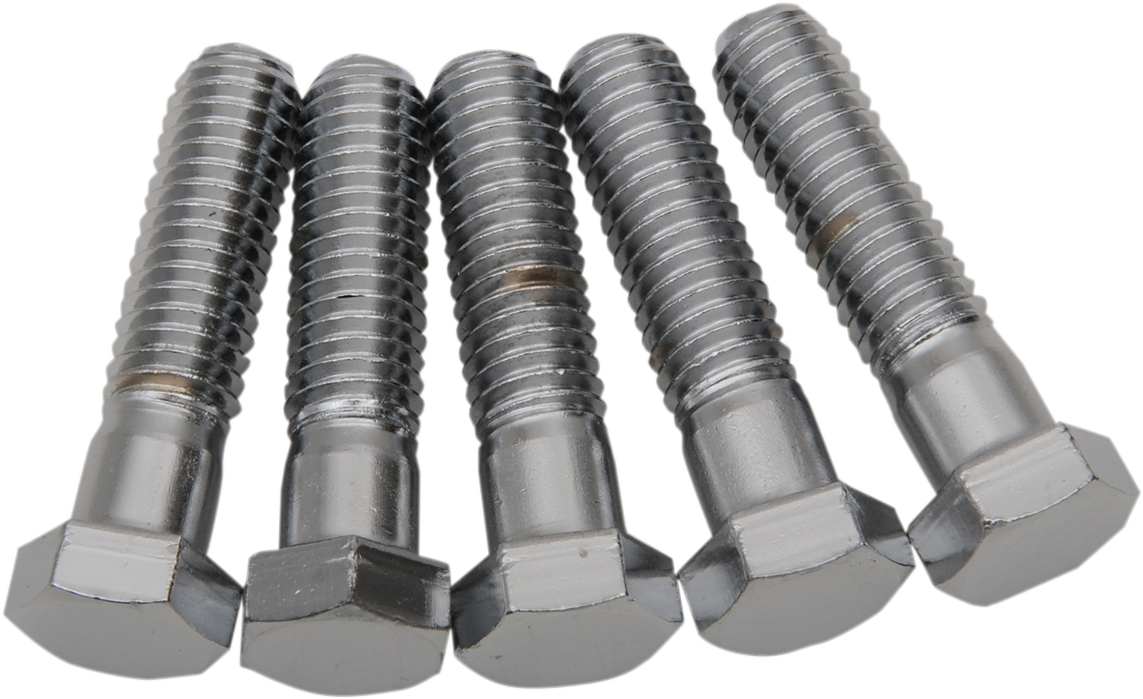 Replacement Hex-Head Bolts