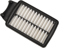 OEM-Style Replacement Air Filter