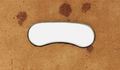Caliper Insert