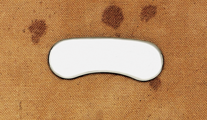 Caliper Insert