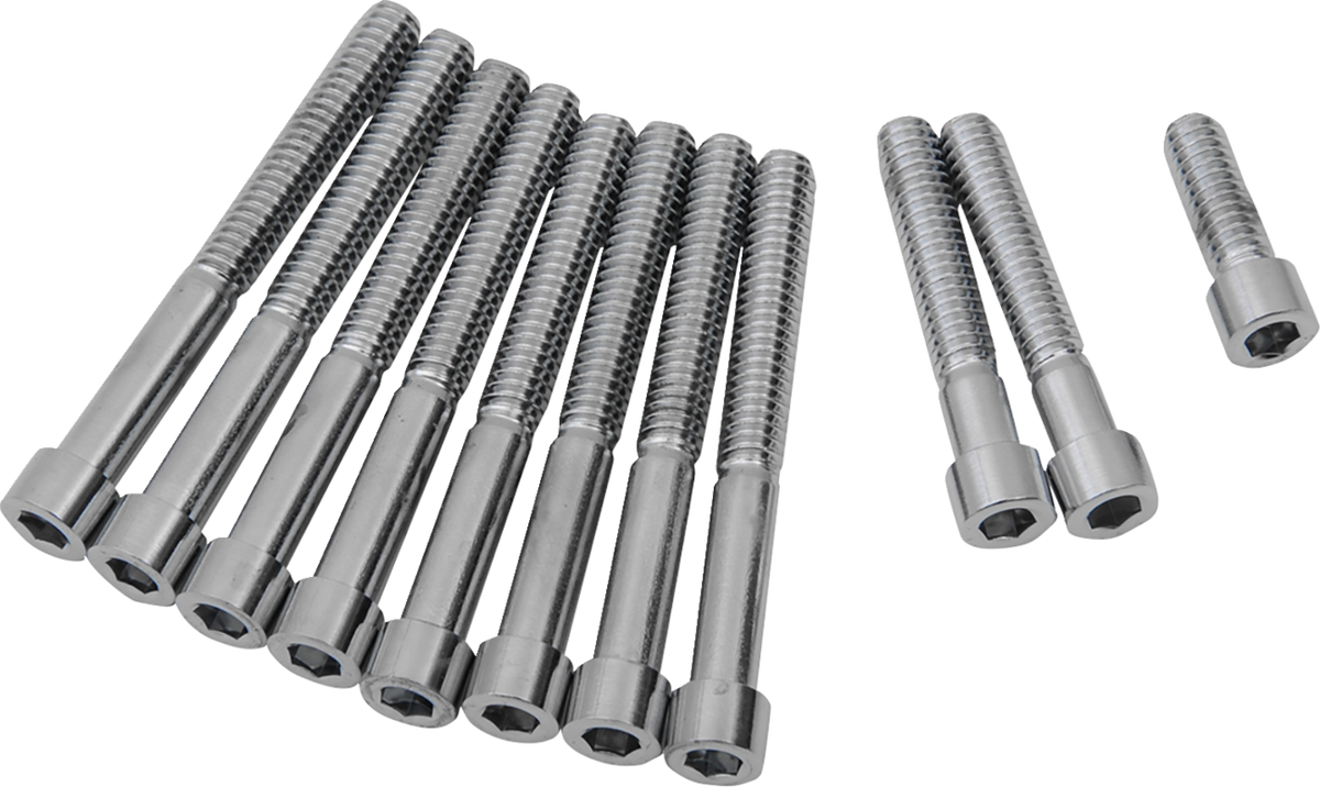 Primary Cover Only Bolt Kit