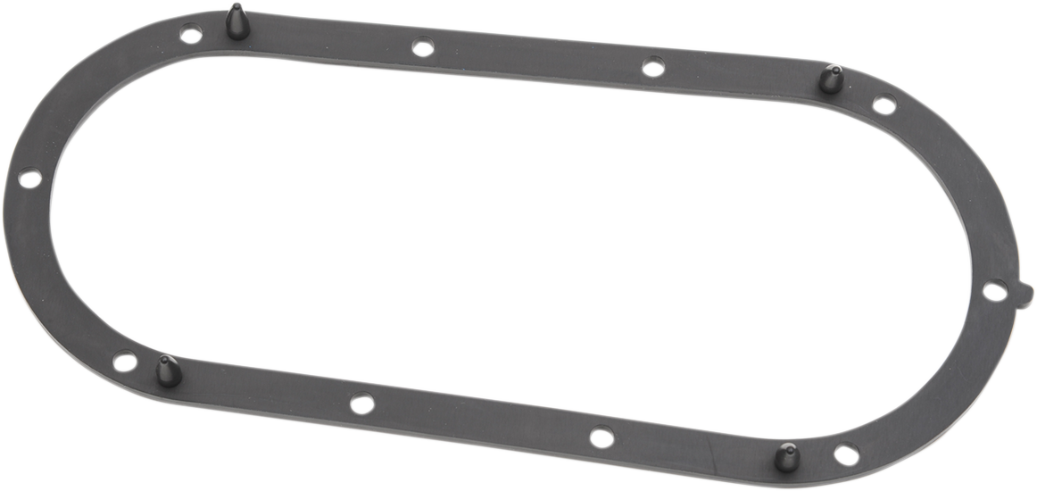 Fuel Pump Door Seal