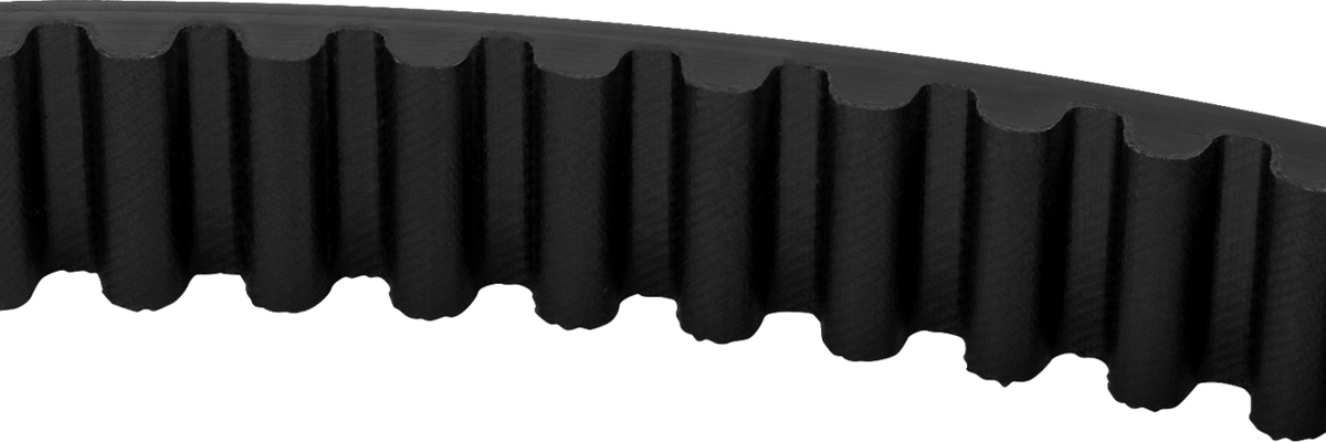 Rear Drive Belt