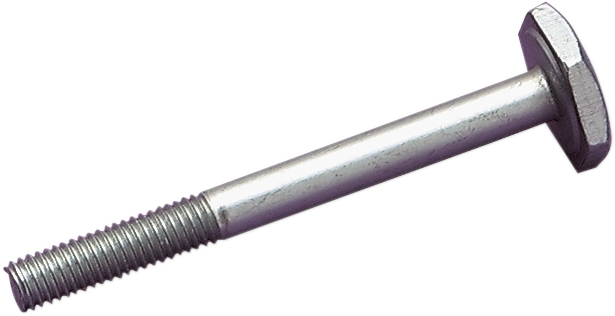 Replacement Timing Bolt