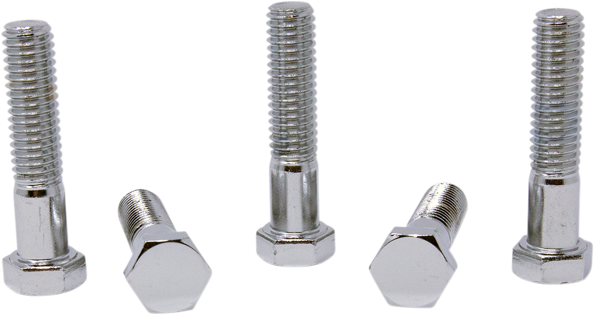 Replacement Hex-Head Bolts