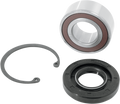 Inner Primary Main Shaft Bearing and Seal Kit