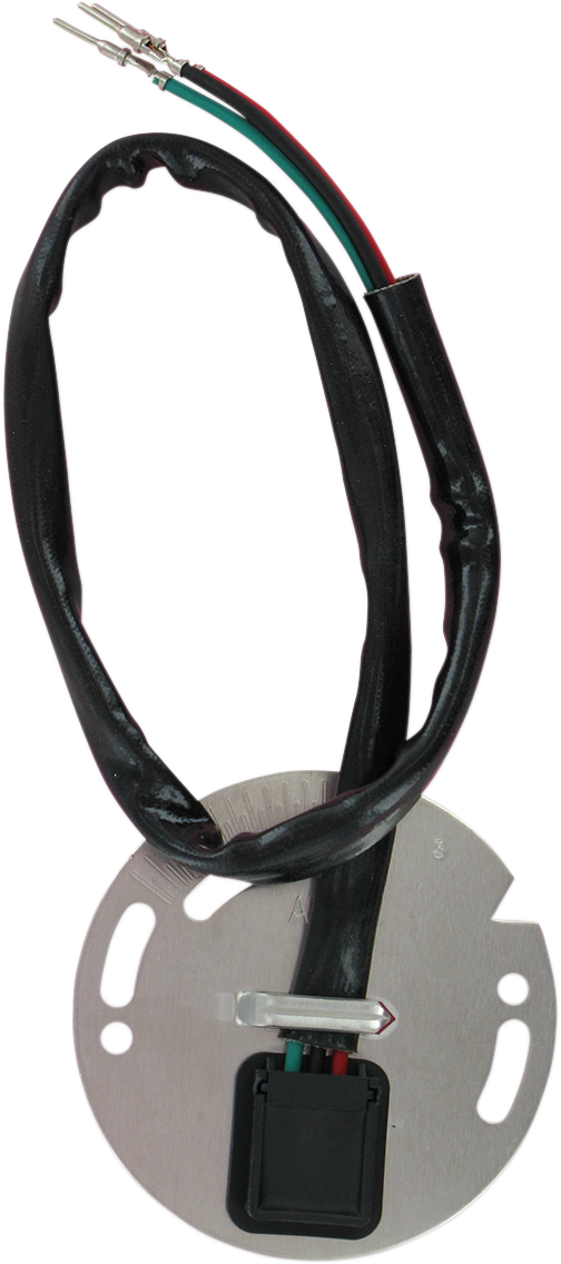 Ignition Sensor Assembly