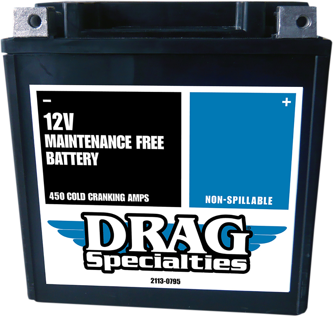 Factory-Activated AGM Maintenance-Free Battery