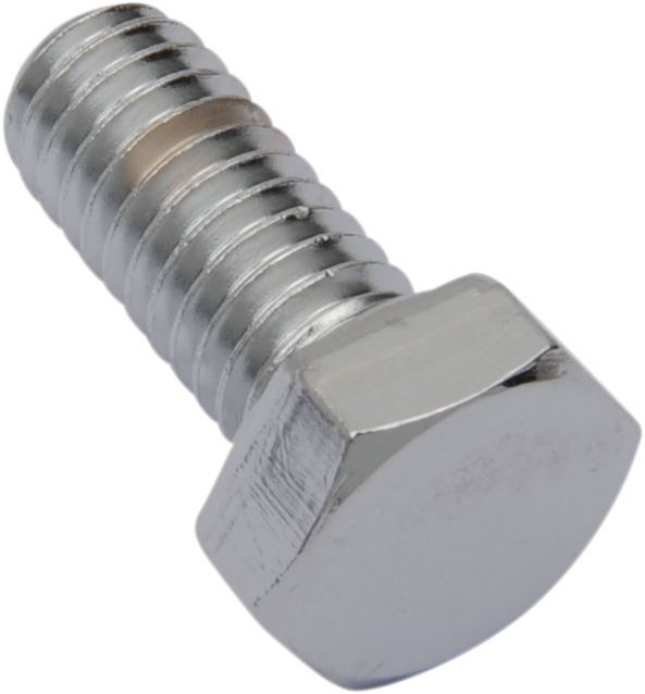 Replacement Hex-Head Bolts
