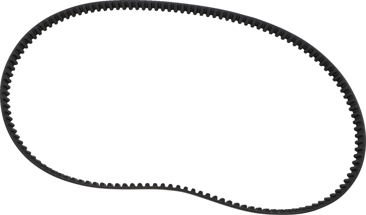 24 mm Rear Drive Belt