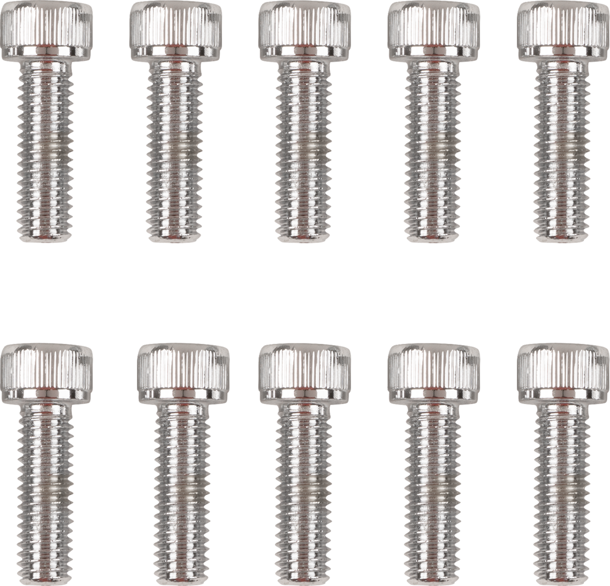 Primary Cover Only Bolt Kit