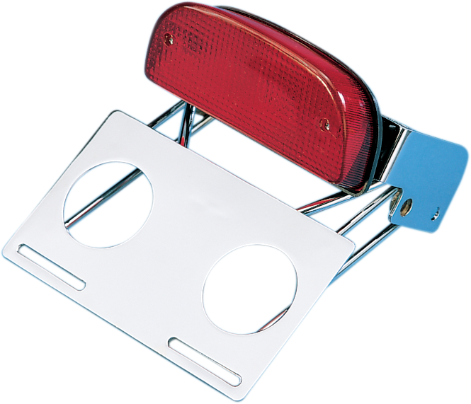 Custom Taillight and Chrome Bracket Assembly