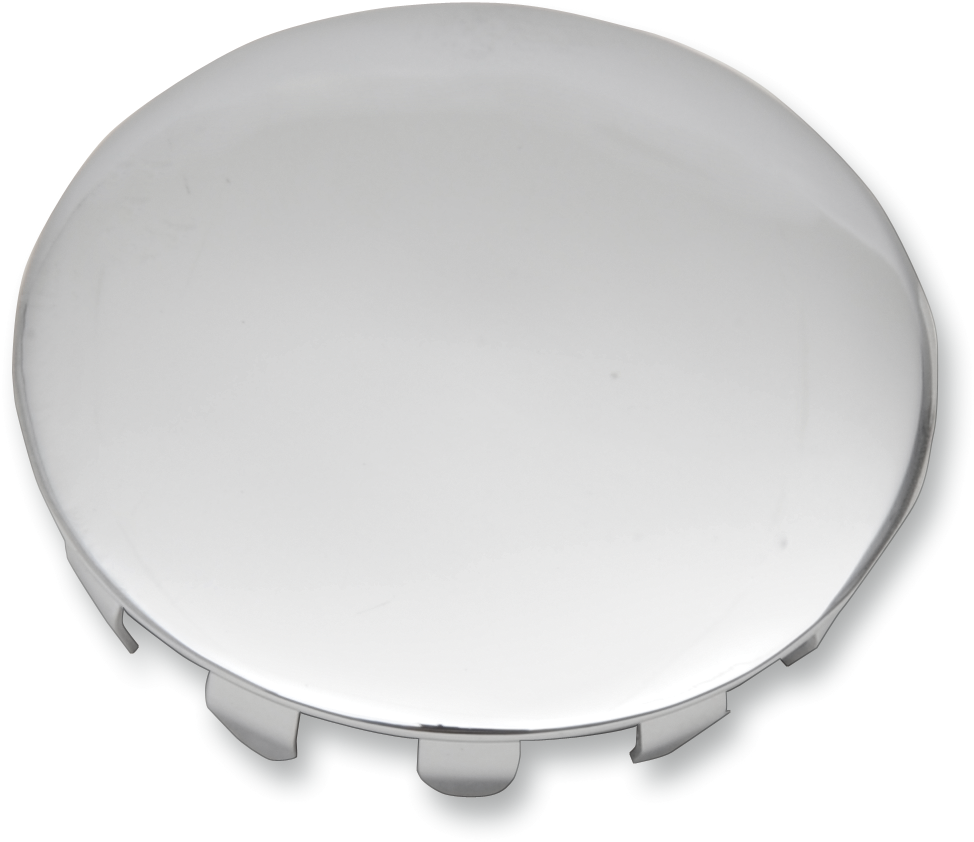 Swingarm Pivot Shaft Cover
