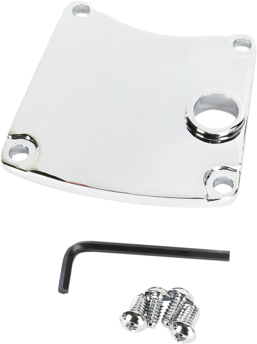 Primary Chain Inspection Cover