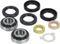 Swingarm Bearing Kit