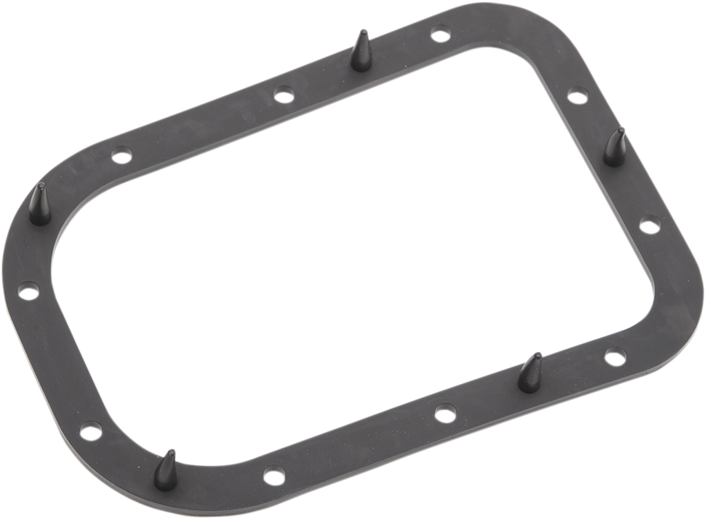 Fuel Pump Door Seal