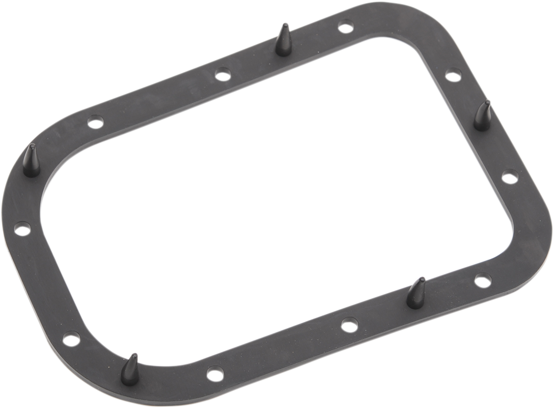 Fuel Pump Door Seal