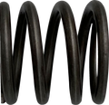 Fork Spring