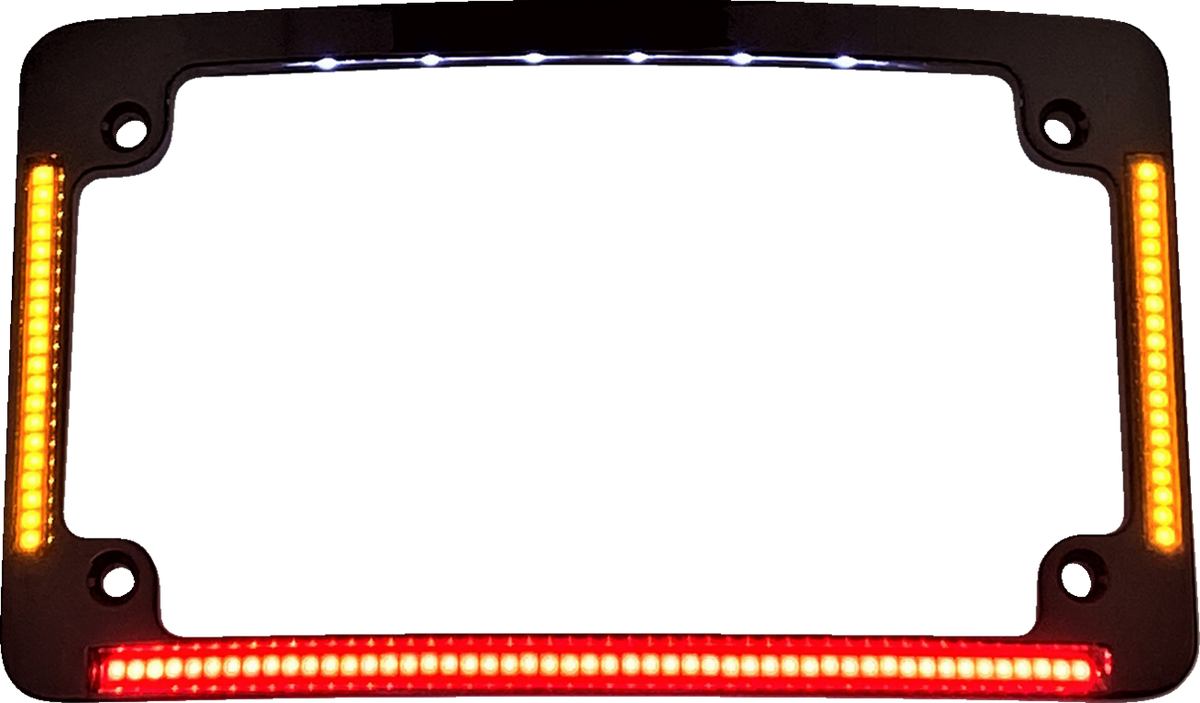 All-in-One License Plate Frame