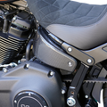 Side Covers - Carbon Fiber - HD Softail (210-202) by Arlen Ness