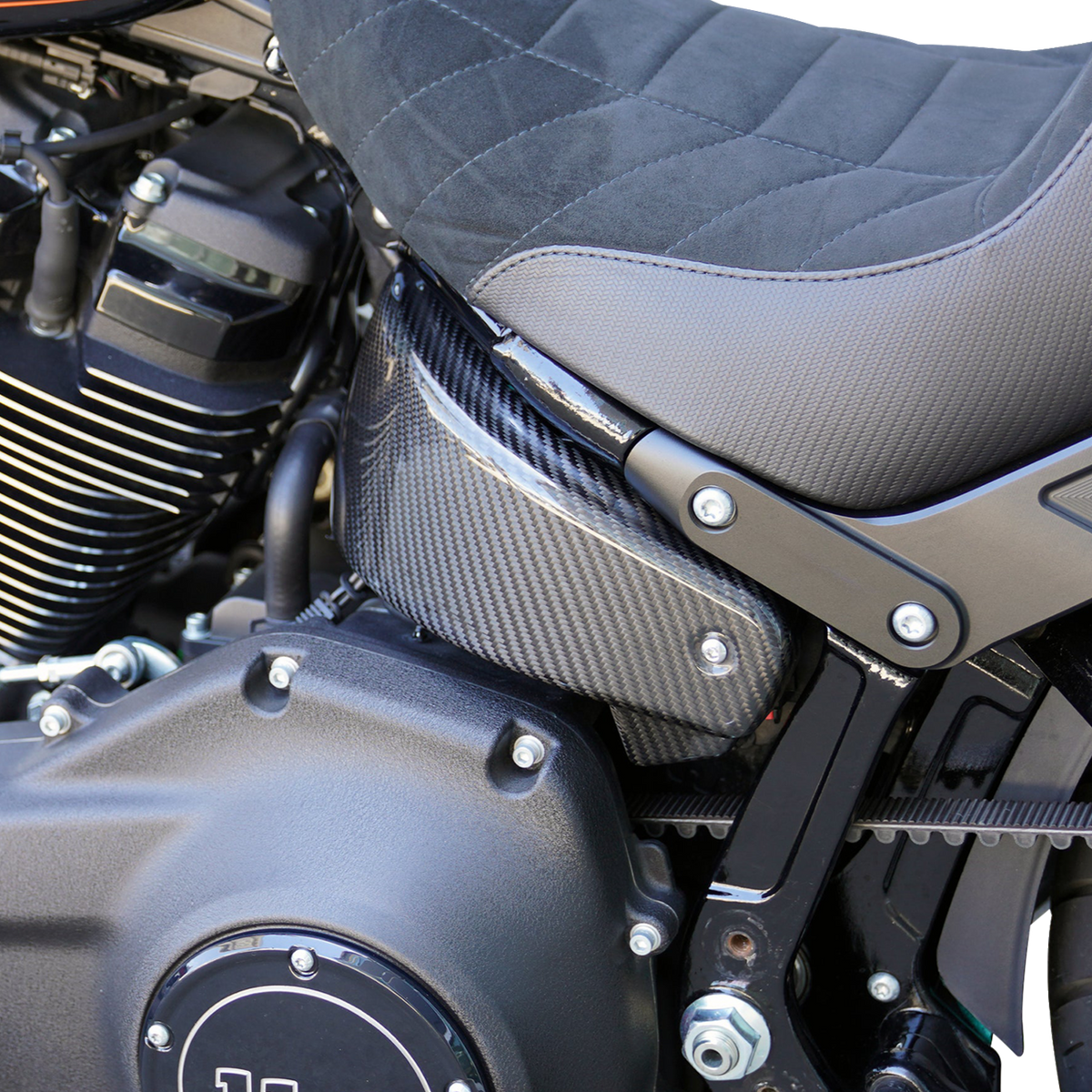 Side Covers - Carbon Fiber - HD Softail (210-202) by Arlen Ness