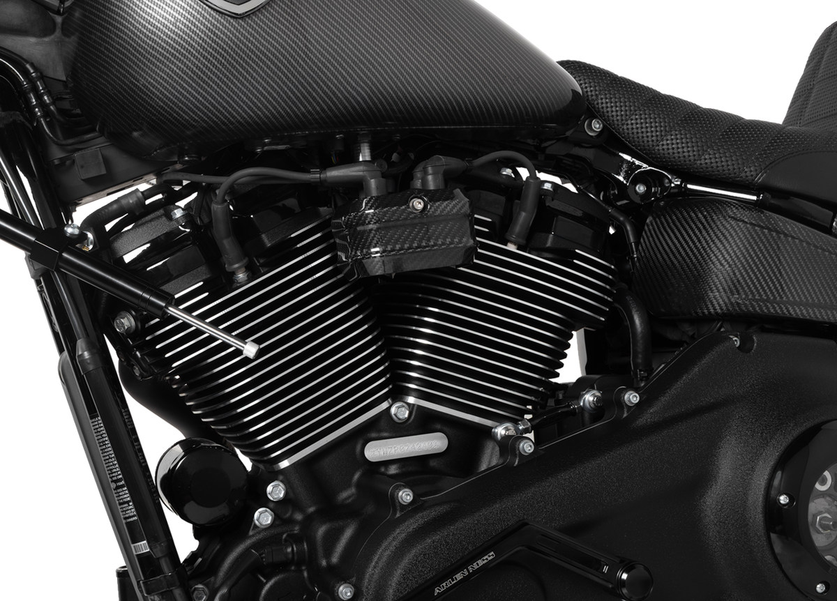 Coil Cover - Harley-Davidson® (220-010) by Arlen Ness