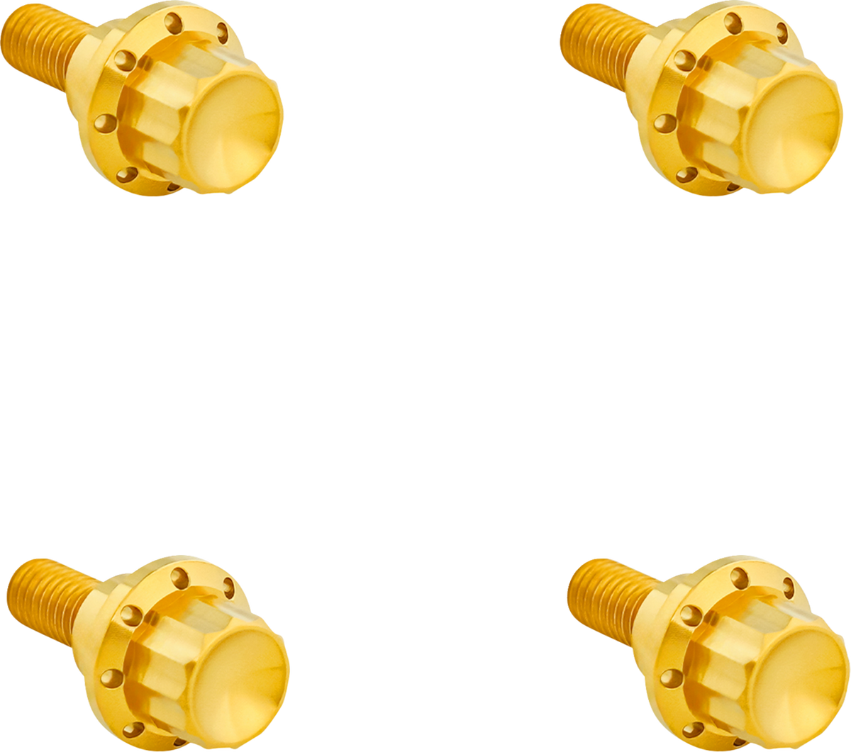 Bolt Kit - Windshield - 12-Point - Titanium - Gold (300-811) by Arlen Ness
