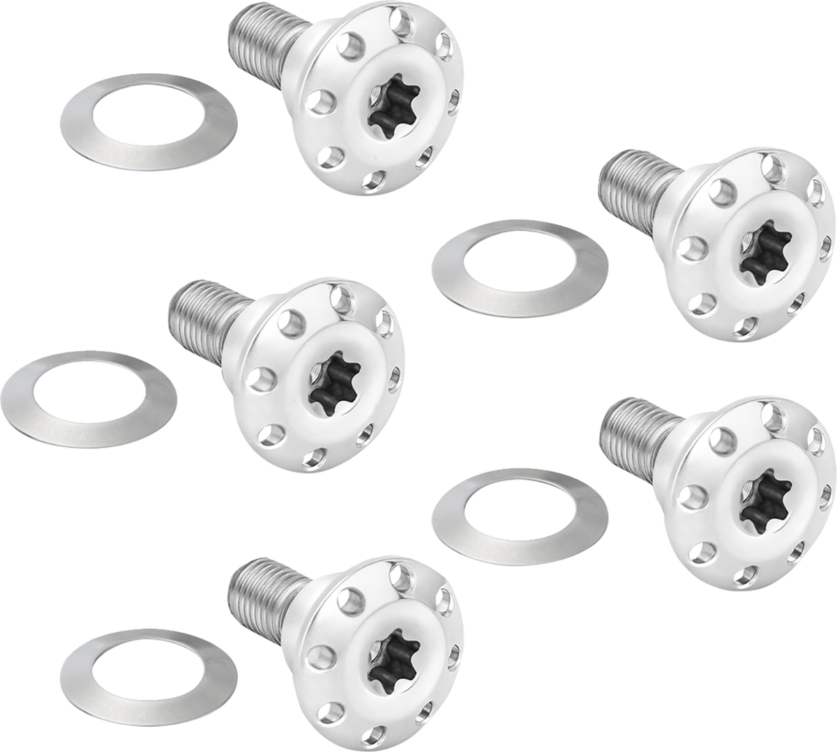 Bolt Kit - Holeshot/Front/Floating/Brake Rotor - Spoke Mount - Polished - 5 Pack (300-920) by Arlen Ness