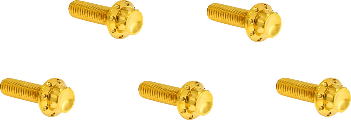 Bolt Kit - Derby Cover - 12-Point - Titanium - Gold (300-925) by Arlen Ness