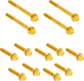 Bolt Kit - Primary Cover - Titanium - 12-Point - FLT - Gold (300-928) by Arlen Ness