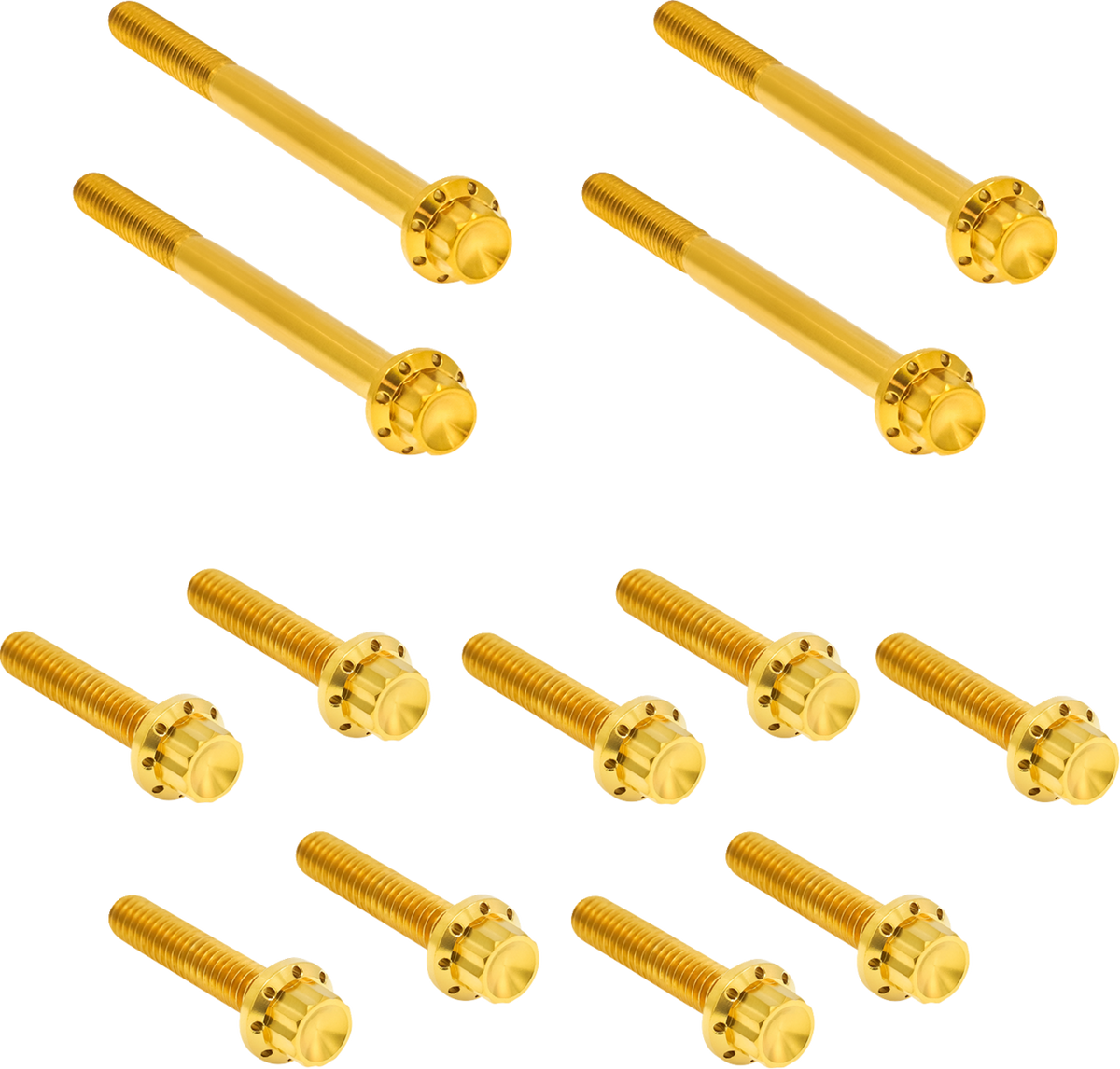 Bolt Kit - Primary Cover - Titanium - 12-Point - FLT - Gold (300-928) by Arlen Ness