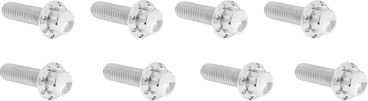 Bolt Kit - Lifter Block - 12-Point - Titanium - Polished (300-935) by Arlen Ness